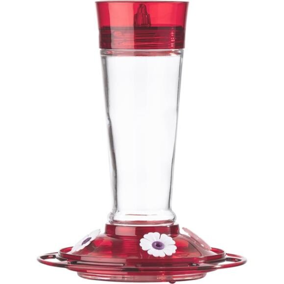 Bird Health+ Ruby Hummingbird Feeder, Glass Hummingbird Feeders for Outdoors - Picture 1 of 6